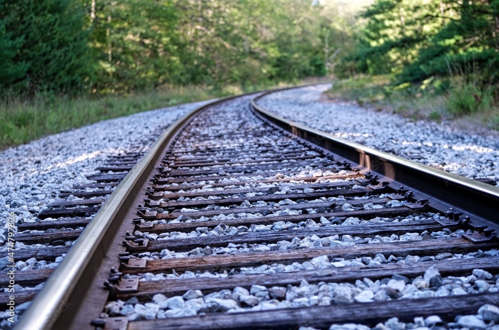 Fototapeta premium railroad tracks in the forest