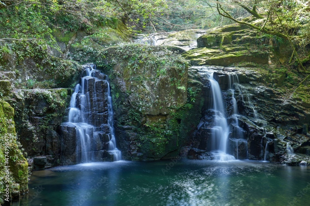 Fototapeta premium 豪快な荷担滝の情景＠赤目四十八滝、三重