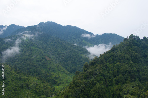 Beautiful green mountain and fog in monsoon rainy season in himachal pradesh, India