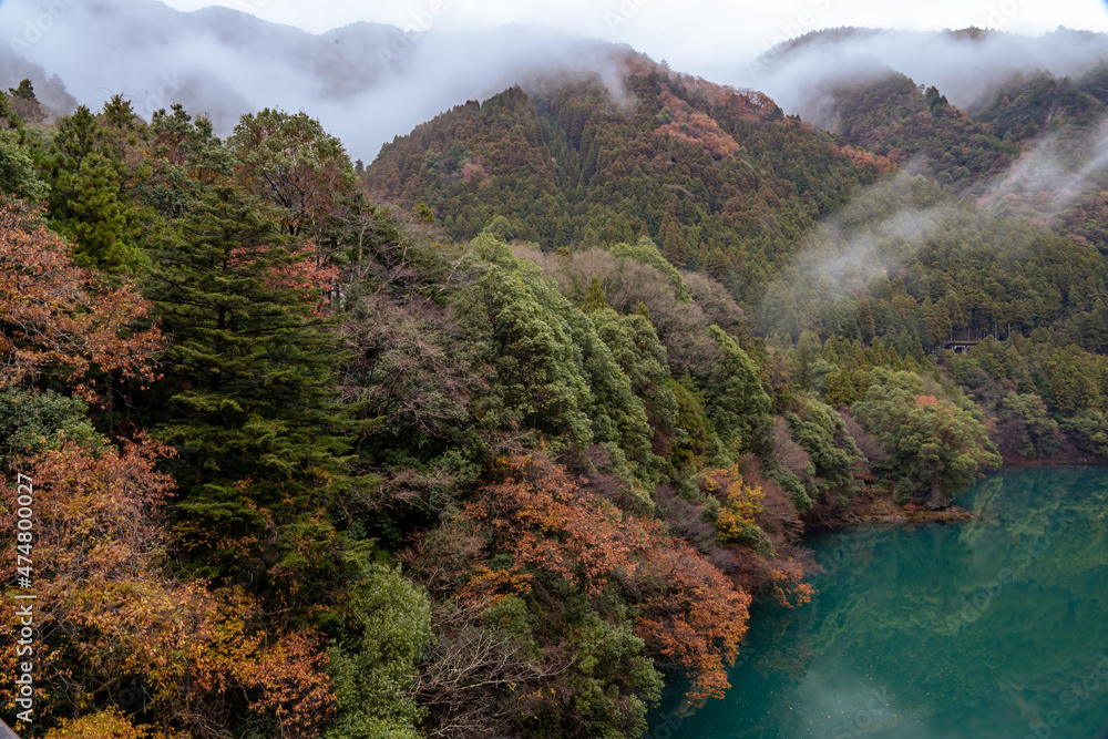Autumn landscape beautiful colour trees over the river glowing in the sunlight and misty. wonderful background. mountain reflection green water. Amazing view river dam in Japan