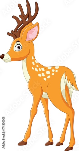Cartoon funny deer on white background