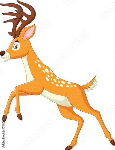Cartoon funny deer posing on white background