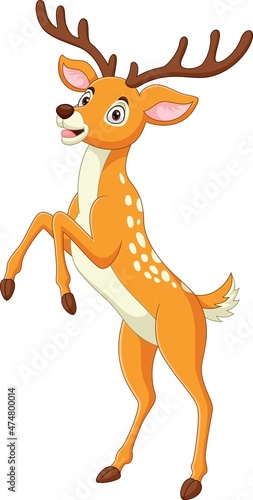 Cartoon funny deer standing on white background