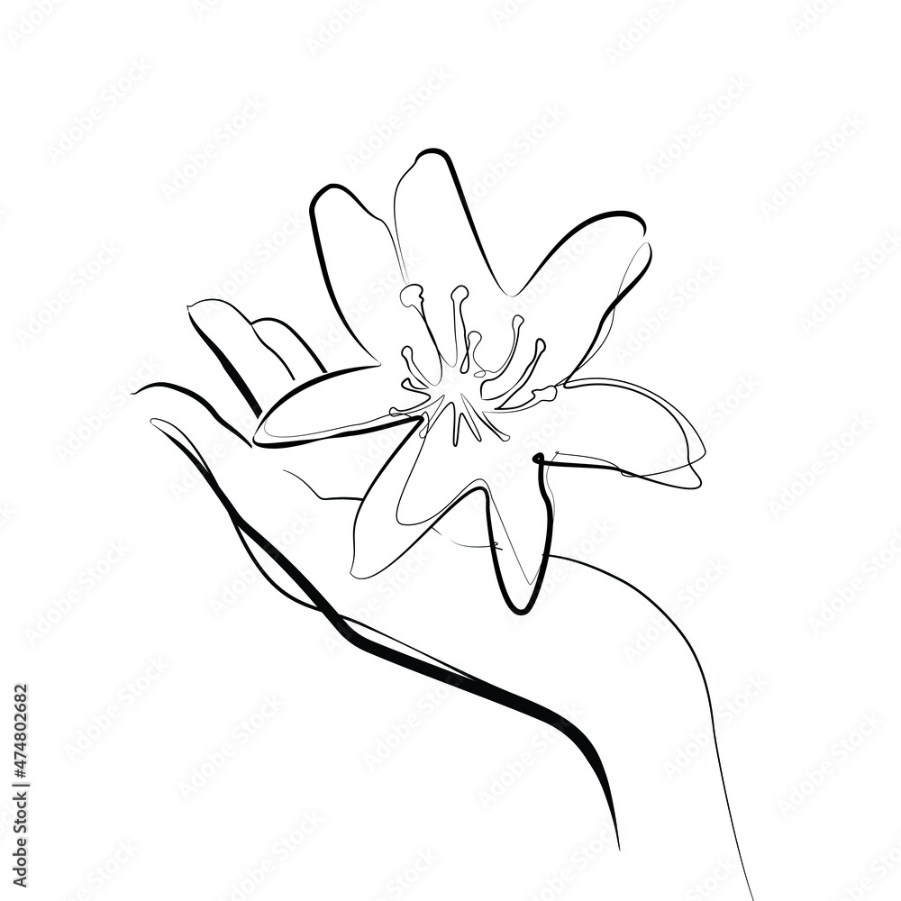 hand holding a white lily flower