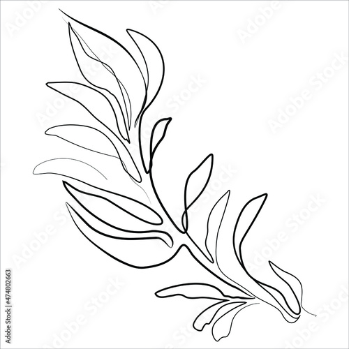 a line illustration of hand drawn leaves