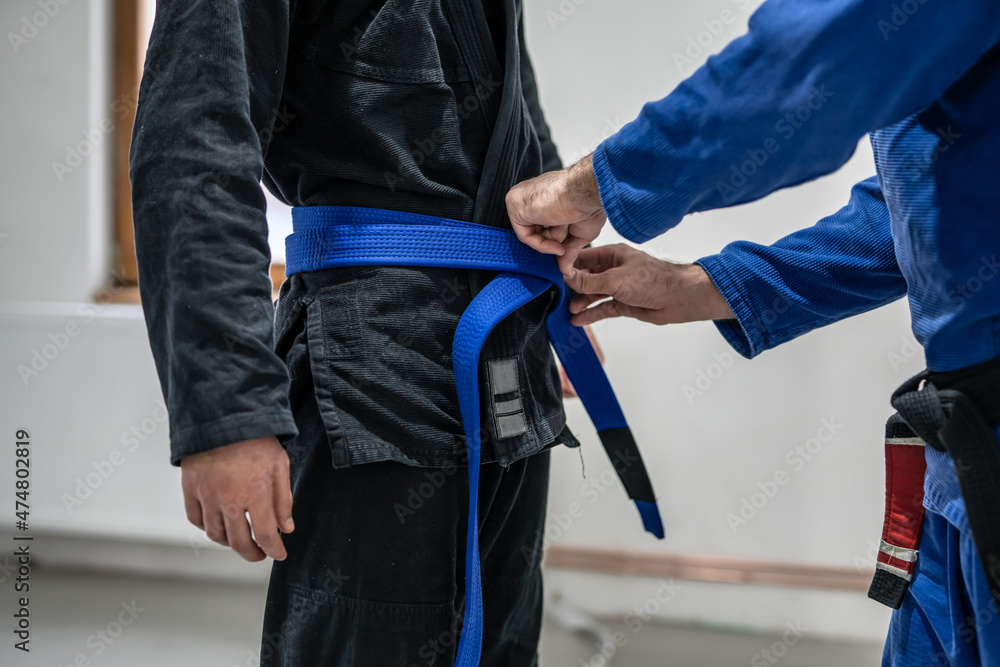BJJ brazilian jui jutsu belt promotion close up on hands of unknown  instructor black belt professor tie up blue belt on waist of his student  Stock Photo | Adobe Stock