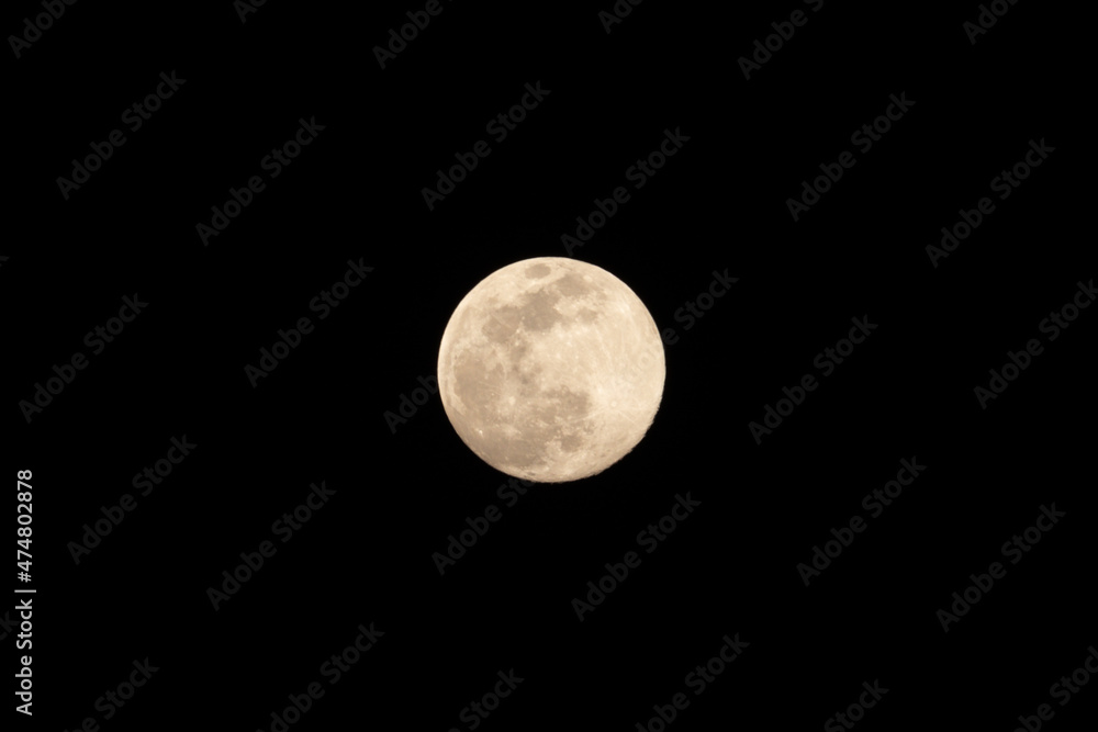 Obraz premium 満月