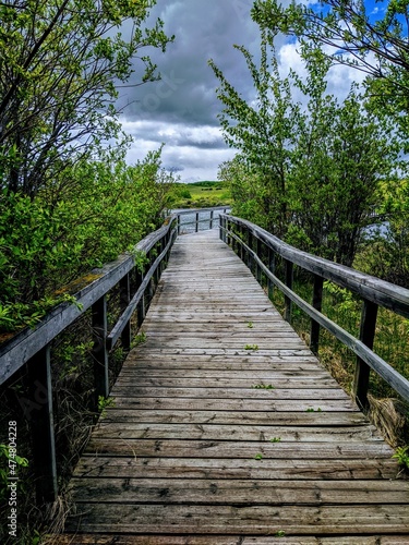 Wooden bridge