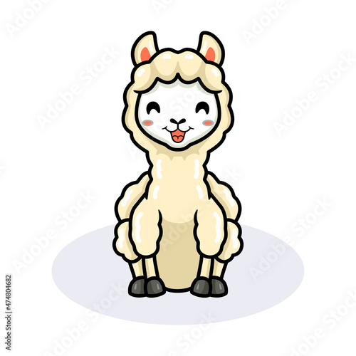 Cute little alpaca cartoon sitting
