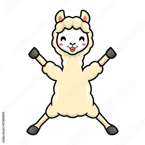 Cute little alpaca cartoon raising hands