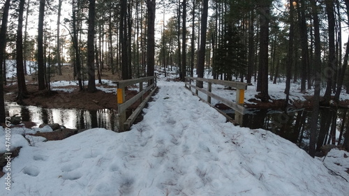 Wallpaper Mural DCIM\101MEDIA\DJI_0025.JPG Torontodigital.ca