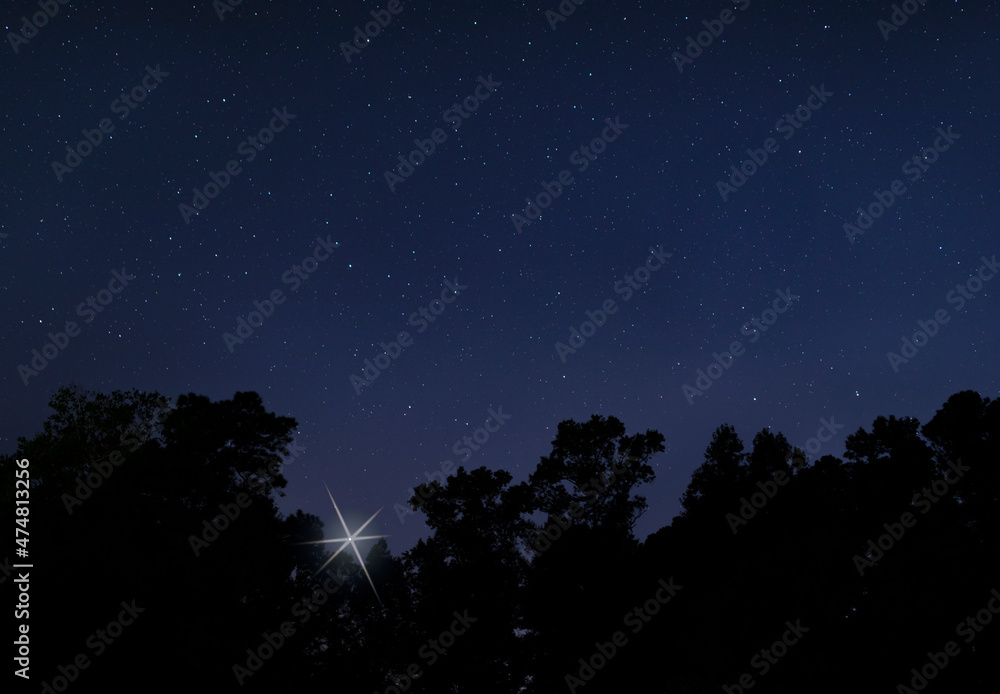 Bright star rising above a dark forest