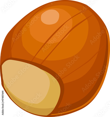 hazelnut sliced fruit. vector illustration. healthy fresh and sweet food design.