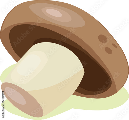 mushroom vegetable. vector illustration. healthy fresh and sweet food and fruit design.