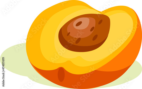 nectarine sliced fruit. vector illustration. healthy fresh and sweet food design.