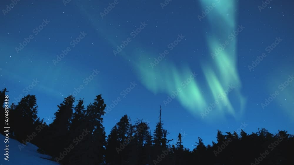 Aurora Starry Sky Southwest Above Pine Forest Winter Snow Time Lapse Aurora Starry Sky Southwest Above Pine Forest Winter Snow Time Lapse