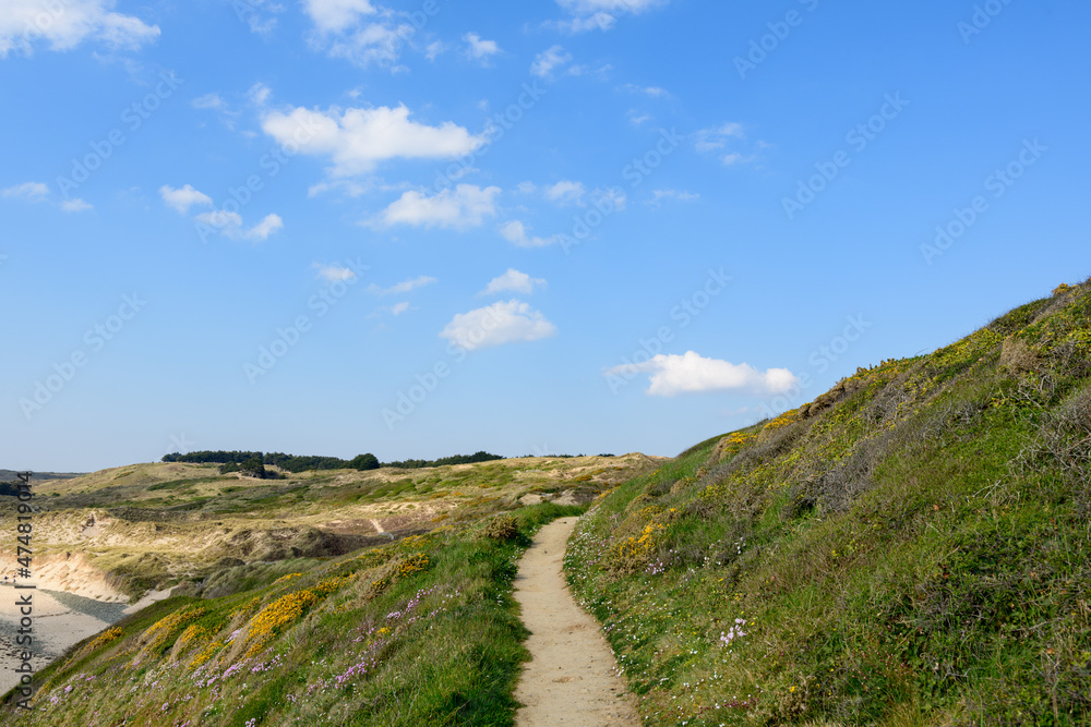 The customs path at Cap de Carteret in Europe, France, Normandy, Manche, in spring, on a sunny day.