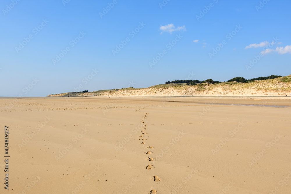The fine sand of the Plage de la Vieille Eglise in Europe, France, Normandy, Manche, in spring, on a sunny day.