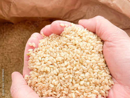 健康に良い玄米　手のひらの玄米