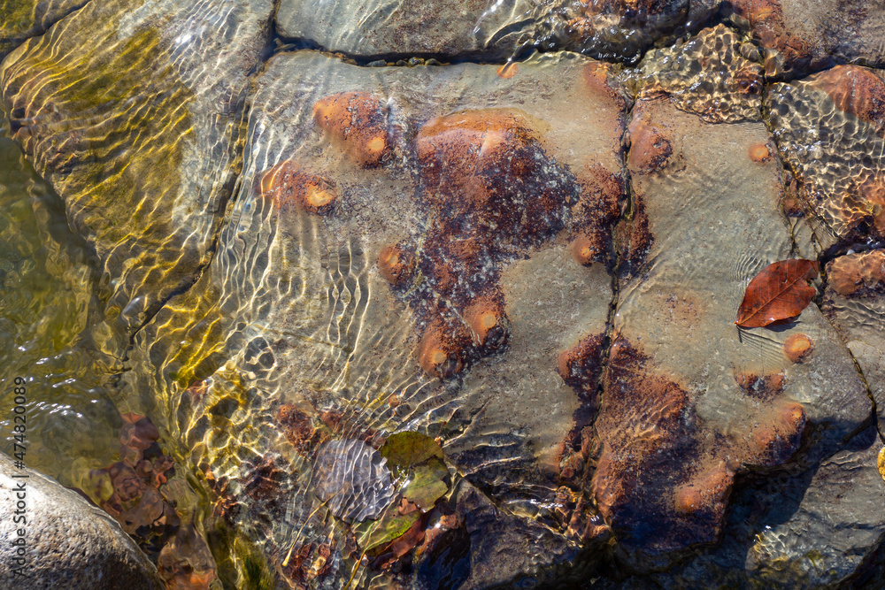 Obraz premium Autumn, the shallow stone-sandy bottom of a mountain river in the rays of the morning sun, close-up.