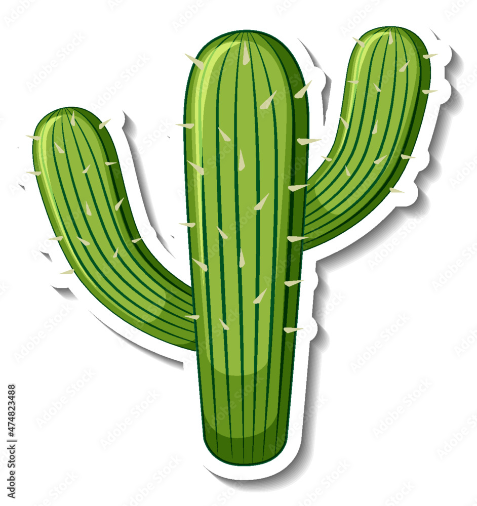 Saguaro cactus plant on white background Stock Vektorgrafik ...