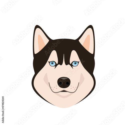 The head of a cute husky on a white background. A dog in a cartoon design.
