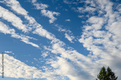 Dramatic cloudscape with fast moving white clouds against a blue sky, as a nature background  © knelson20