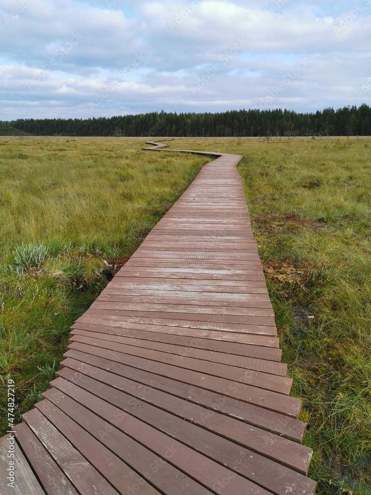 Fototapeta premium Wooden plank flooring over a swamp with yellowed grass against a beautiful sky with clouds.