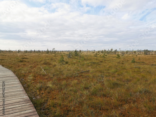 Fototapeta Naklejka Na Ścianę i Meble -  A section of brown plank flooring over a swamp with yellowed grass, against a sky with clouds.