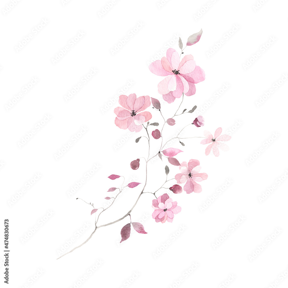Spring abstract branch with delicate pink flowers, buds and leaves, watercolor floral illustration isolated on white background, decorative element for invitation or greeting card, wedding or cover.