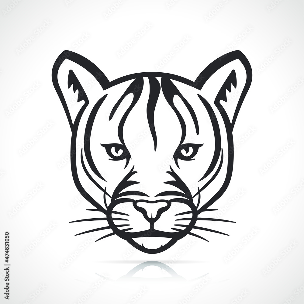 cougar head black and white cougar head black and white