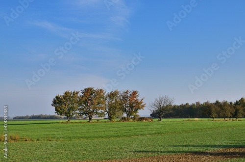 Herbstlandschaft mit Bäumen in Ungarn, Nähe Csorna photo