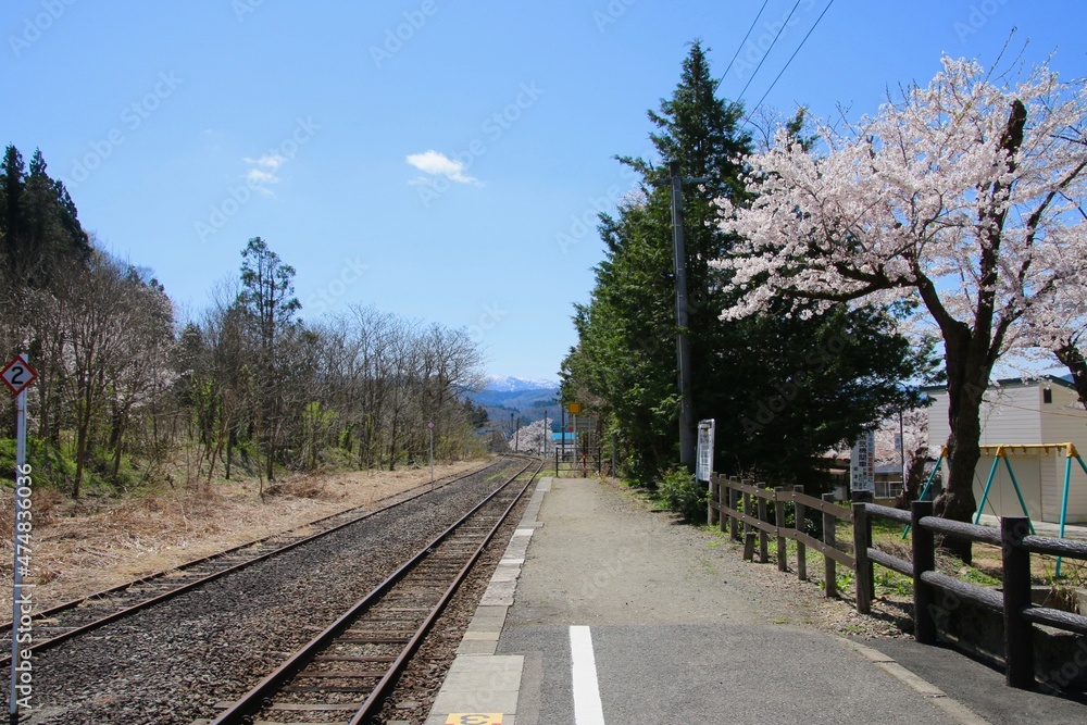 柳津駅の桜（福島県・柳津町）
