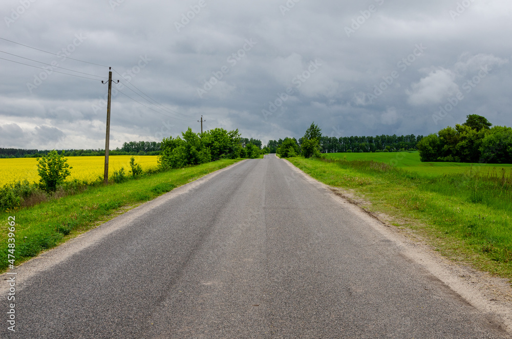 Country road going into the distance surrounded by fields. Asphalt road in Russia