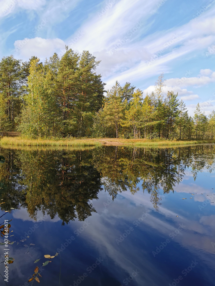 Obraz premium The mirror surface of a forest lake, in which trees and the sky with beautiful clouds are reflected.