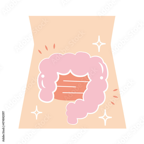 とても健康で超綺麗な腸