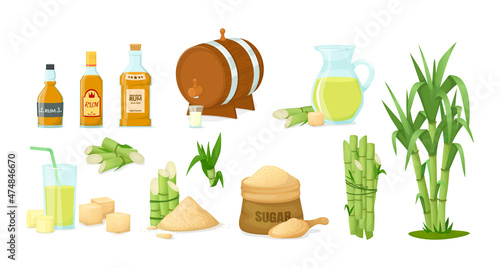 Cane sugar with stem and leaf plants vector cartoon illustration