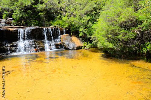 A small waterfall in the rainforest at Wentworth Falls, New South Wales, Australia. photo