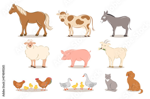Fototapeta Naklejka Na Ścianę i Meble -  Farm animals set on white background. Cartoon animals collection. Kids vector illustration.