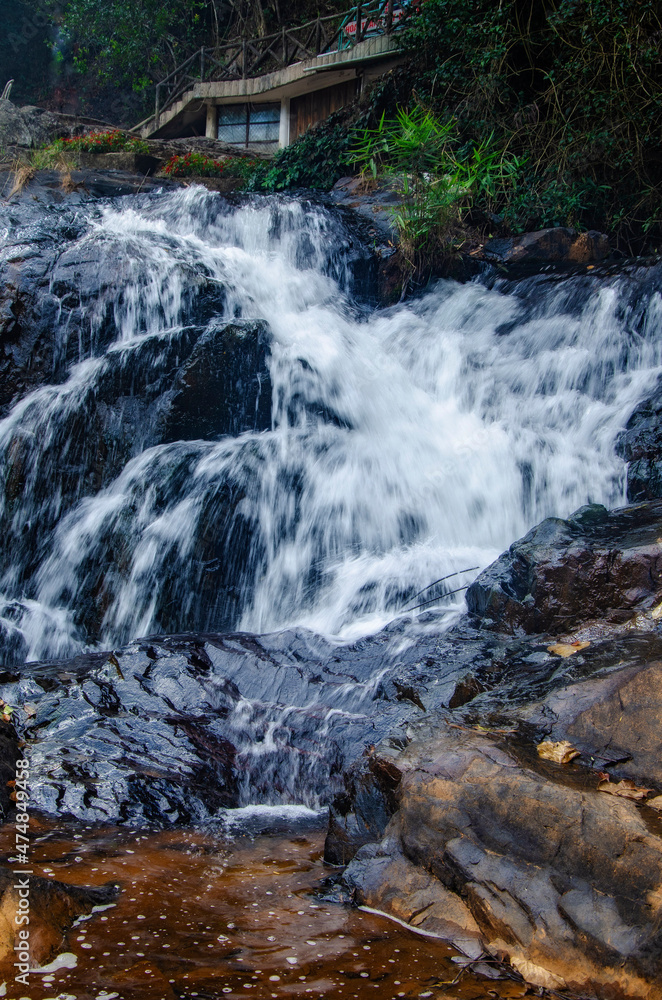 Obraz premium waterfall in the forest