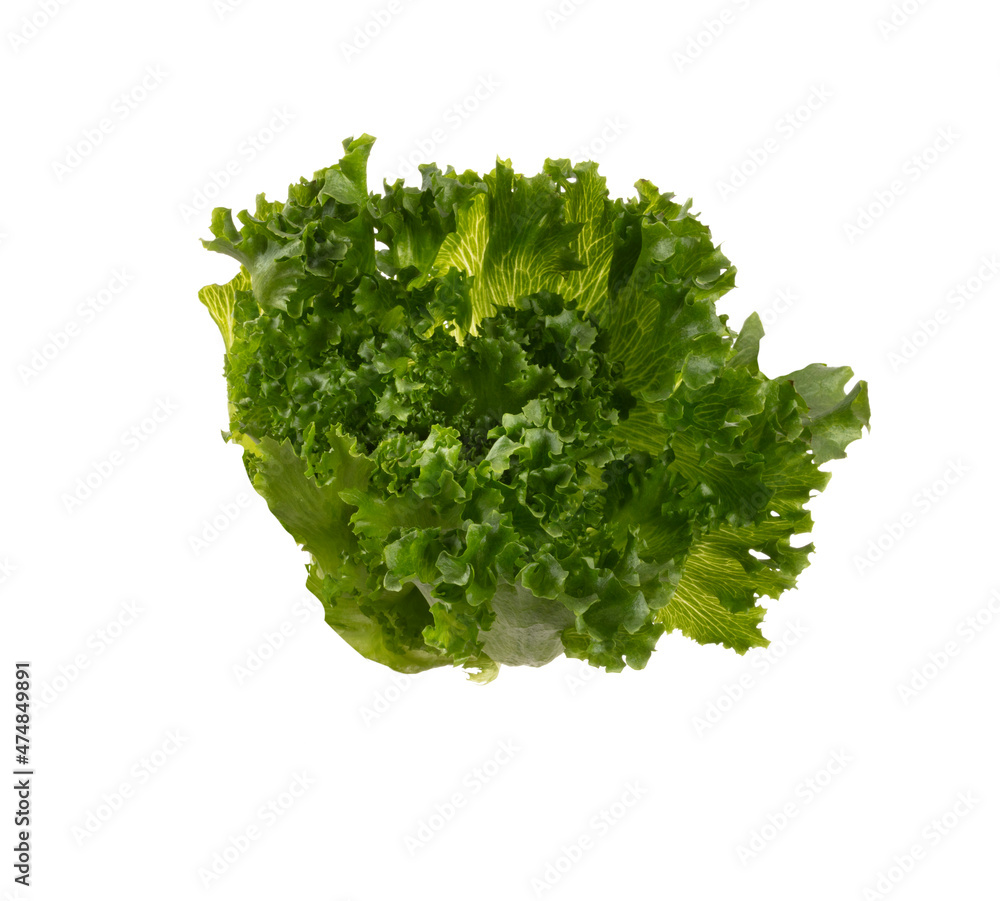 Obraz premium Salad leaves Bio lettuce isolated on white background.