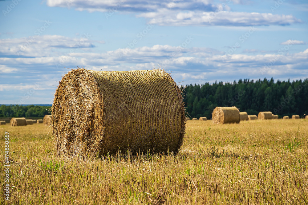 a bale of straw in the field