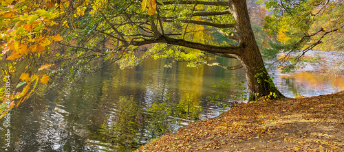 Lake in a park in autumn with colorful leaves and reflections in the water