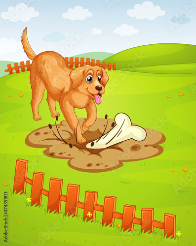 A dog digging a hole in the ground