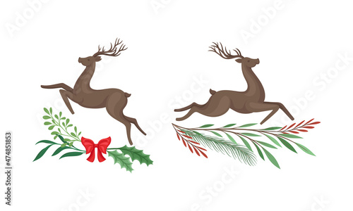 Graceful deers set  Christmas holidays design element with tree branches cartoon vector illustration