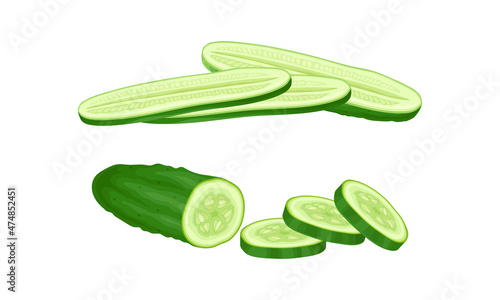 Fresh green sliced cucumber vegetable vector illustration on white background
