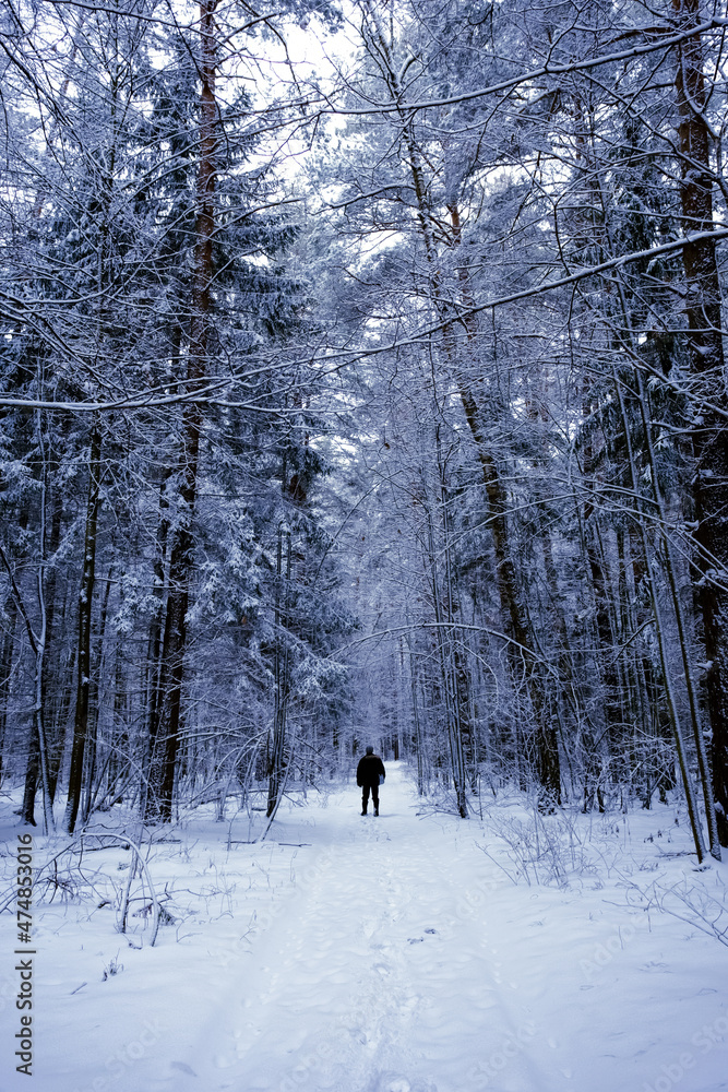 Back view of man on background of winter snowy landscape. Tourist in winter hike in forest. Travel Back view of man on background of winter snowy landscape. Tourist in winter hike in forest. Travel