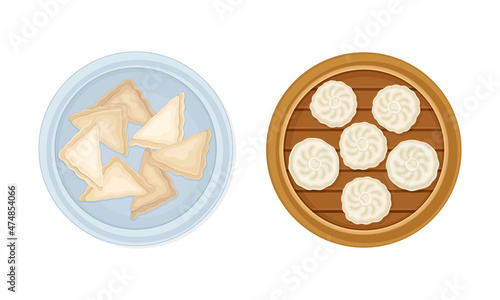 Set of dumplings made of dough stuffed with meat or vegetables vector illustration