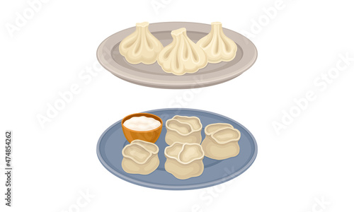 Set of dumplings on plates. Khinkali and manti, dough stuffed with meat or vegetables vector illustration