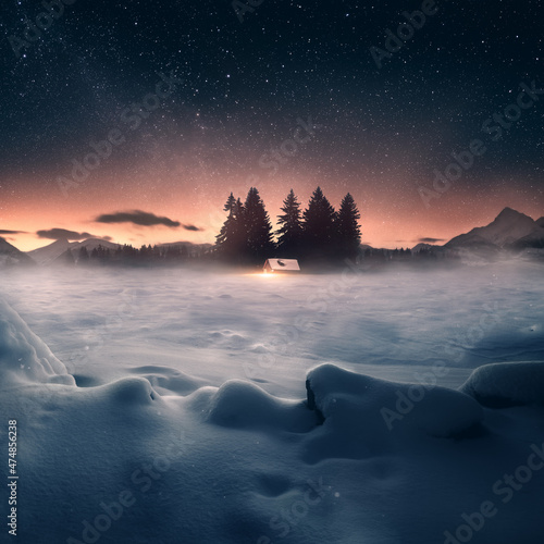 Winter landscape under night sky